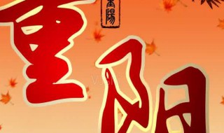 关于重阳节的诗（关于重阳节的诗词名句）