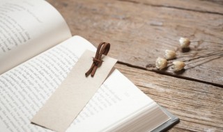 叠的拼音和组词(隙的拼音和组词)