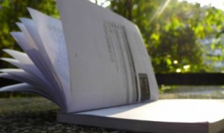 关于廉洁的诗（关于廉洁的诗词短文）