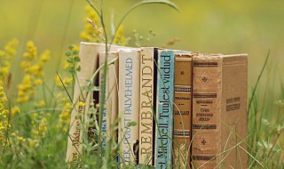 深度好文章(深度好文章 值得一读)