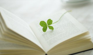 哀册是什么意思 哀部首是什么意思