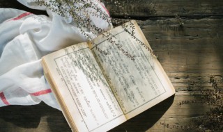 鳌里夺尊是什么意思 鳌什么夺什么