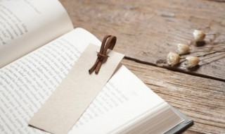 此处不留人自有留人处的意思解释 此地不留人自有留人处意思