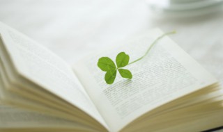 姑妄听之的意思 姑妄听之姑妄言之是什么意思