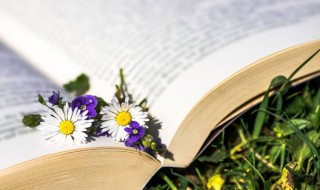 别创一格是什么意思(别创一格的意思)