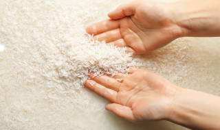 再生稻是什么意思(什么是再生水稻)