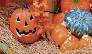 万圣夜是什么意思什么节日 万圣节是万圣夜的意思吗?