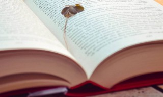 长春不老的意思解释 春年常不老的意思