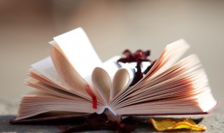 残羹冷炙是什么意思（残羹冷炙的意思是什么意思啊）