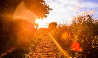 发快手最火的句子（发快手最火的句子文案）