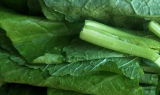 春菜的家常做法 春菜的家常做法视频