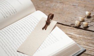 柳绿花红的拼音（柳绿花红的拼音和意思）