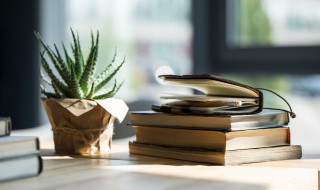 信风的意思 信风的意思是什么