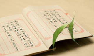 敷衍了事的意思解释(敷衍了事的意思解释词语)