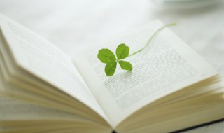 不共戴天的意思解释 不共戴天词语解释