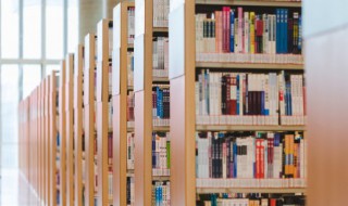 动情是什么意思(山鬼不知意 西风不动情是什么意思)