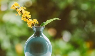 人生心境的禅诗(人生心境的禅诗有哪些)