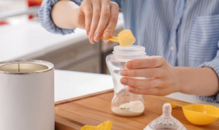 奶泡是什么（奶泡是什么意思）