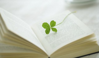 安份守己的意思解释 安份守己的意思解释和造句