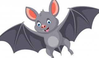 蝙蝠怎么读（是蝙蝠还是蝙蝠怎么读）