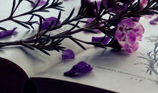 漠不关心什么意思 事不关己漠不关心什么意思