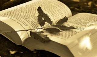 花天酒地什么意思 花天酒地什么意思?