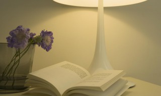 大好河山什么意思（大好河山什么意思嘛）