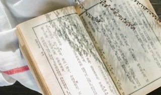 氺怎么读(氺怎么读音是什么意思)