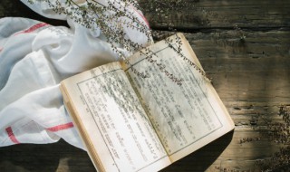 气壮山河什么意思（气壮山河的什么意思）