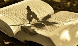 蔚然成风什么意思(蔚然成风什么意思?)