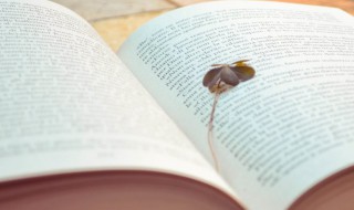 至高无上什么意思（至高无上还是至高无上是什么意思）