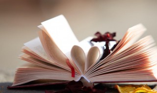 君上是什么意思 有翡君上是什么意思