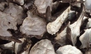 附子煎煮方法（倪海厦附子煎煮方法）