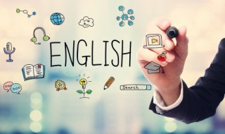 dolphin怎么读 thorndolphin怎么读