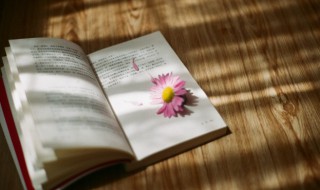 怦怎么读（怦然怎么读）