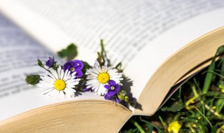 屋檐的拼音怎么写（屋檐的拼音怎么写的拼）