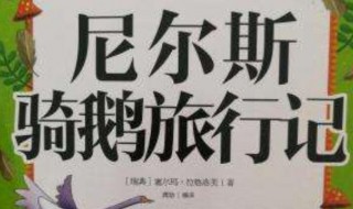 从尼尔斯身上学到了什么? 从尼尔斯身上学到了什么结合实际