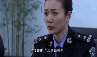 督察队长住宾馆报警是哪一集 警中警督察酒店被所长带走是哪一集