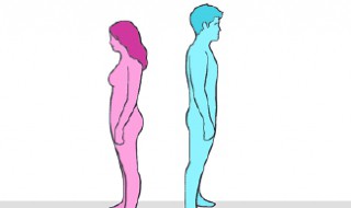 健美操运动的功能有哪些?（健美操运动的功能是什么）