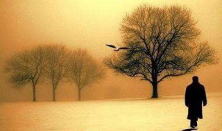 匆匆这篇课文先写什么后写什么?（匆匆课文先写了什么后写了什么）