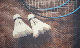 羽毛球上网移动步法主要用于（羽毛球上网移动步法主要用于什么）