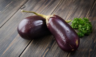 绿茄子和紫茄子的区别（绿茄子和紫茄子的区别是什么）