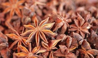 大料就是八角吗 大料跟八角