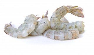 白虾是发物吗 白虾是发物吗?