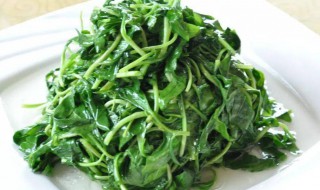 豆瓣菜的功效与作用（豆瓣菜的功效与作用）