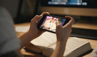 王者荣耀鹰眼统帅怎么获得(王者鹰眼统领怎么得)