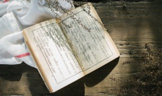 春风得意马蹄疾全诗译文及赏析（春风得意马蹄疾下一句诗是什么）