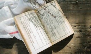 略的组词和拼音(略的组词和拼音部首)