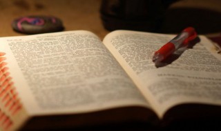 粗犷的拼音怎么写（粗犷的拼音怎么写粗旷）