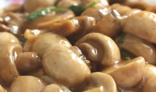 白口蘑的做法大全家常（白口蘑的做法大全家常视频）